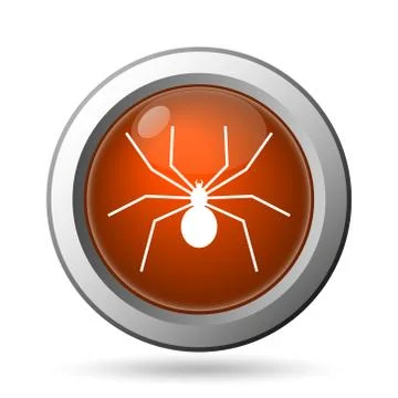 Spider icon. internet button on white background.. Stock Illustration