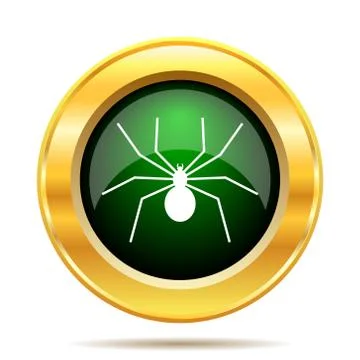 Spider icon. Internet button on white background.. Stock Illustration