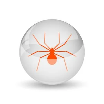 Spider icon. Internet button on white background.. Stock Illustration
