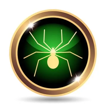 Spider icon. Internet button on white background.. Stock Illustration