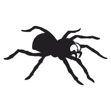 Spider icon silhouettes vector illustration Stock Illustration