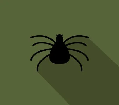 Spider icon on white background Stock Illustration