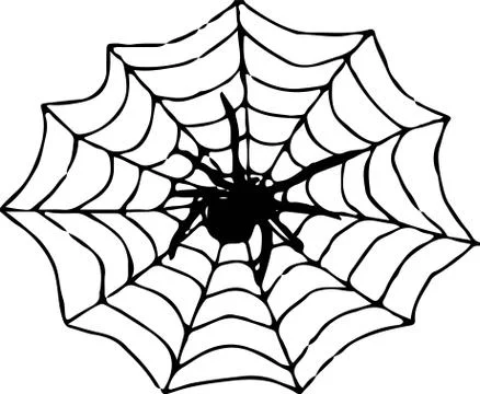 Spider icon on white background Stock Illustration