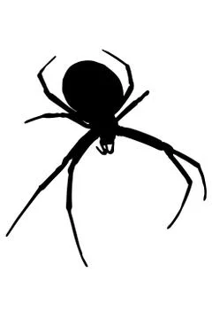 Spider.  Stock Illustration
