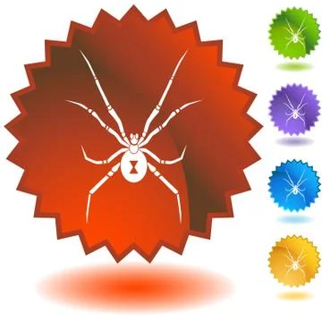 Spider Stock Illustration