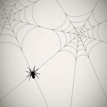 Spider Stock Illustration