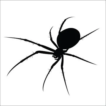 Spider Stock Illustration