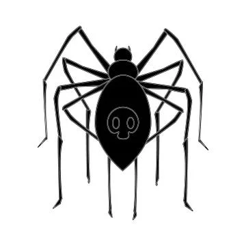 Spider Stock Illustration