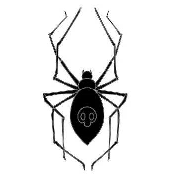Spider Stock Illustration