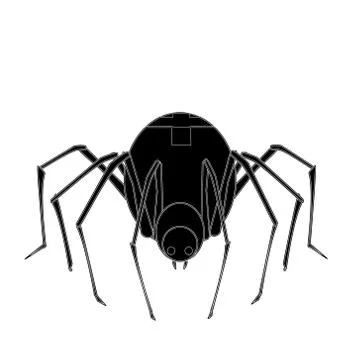 Spider Stock Illustration