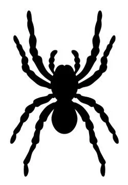 Spider Stock Illustration