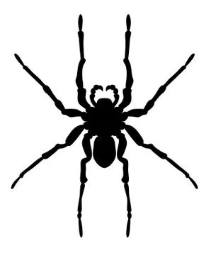 Spider Stock Illustration