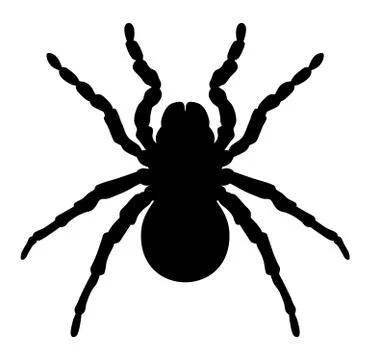 Spider Stock Illustration