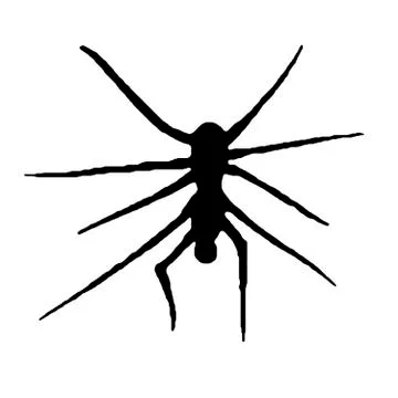 Spider Stock Illustration