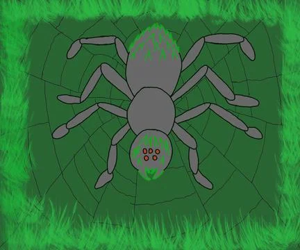 Spider Stock-Illustration
