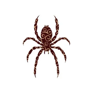 Spider insect spiral pattern color silhouette animal. Stock Illustration