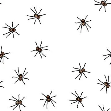Spider insect vector seamless pattern Illustrazione stock