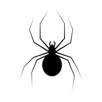Spider isolated on white Stock Illustration