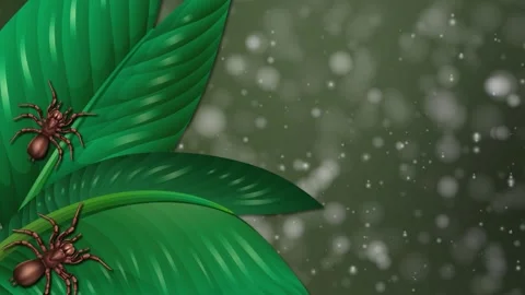 Spider on Leaf with Bling Background Stock Footage 279537420