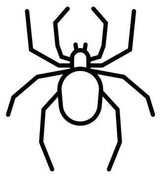 Spider linear icon. Black outline insect symbol Stock Illustration