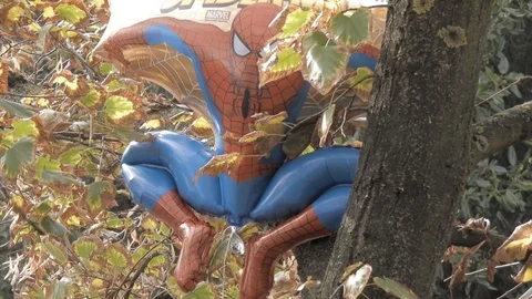 Spider man in the tree branches 4K Video stock 126379448