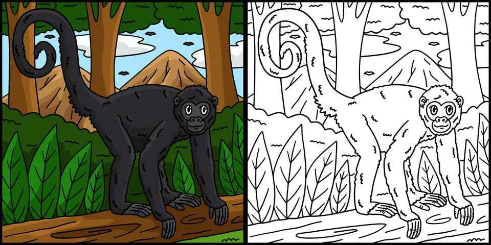 Spider Monkey Coloring Page Colored Illustration Stock Illustration