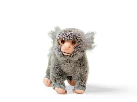 Spider monkey doll on white background Stock Photos