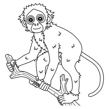 Spider Monkey Isolated Coloring Page for Kids Stock Illustration