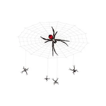 Spider in the nest Stock Illustration