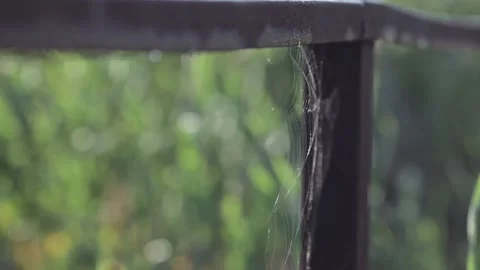Spider net floating in the wind Stock Footage 144555961