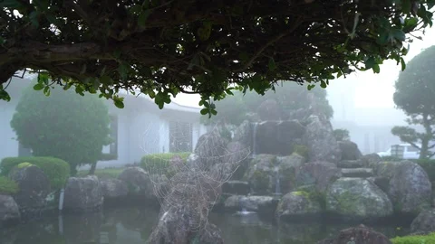 Spider net Stock Footage 125125316