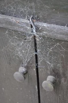 Spider net Stock Photos