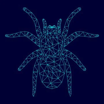 Spider or tarantula in low poly triangulation triangulated polygonal electr.. Stockillustratie