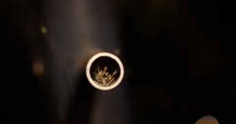 Spider orb weaver close up hiding in a pipe eating its meal at night Stock Footage 205248600