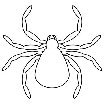 Spider outline icon, black widow silhouette. Halloween animal symbol, arach.. Stock Illustration