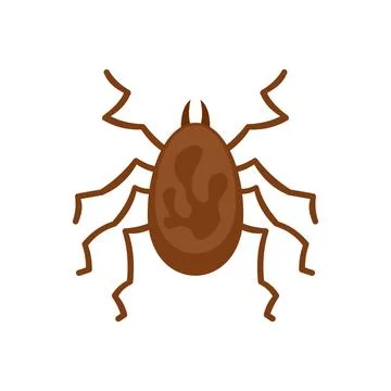 Spider parasite icon flat isolated vector Stock Illustration