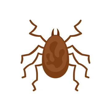 Spider parasite icon flat isolated Stock Illustration
