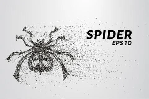 Spider of particles. The spider consists of circles and points. Vector illu.. Stock Illustration