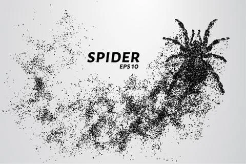 Spider of particles. The spider consists of circles and points. Vector illust Stock Illustration