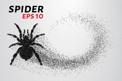 Spider of particles. The spider consists of small circles. Vector illustration Illustrazione stock