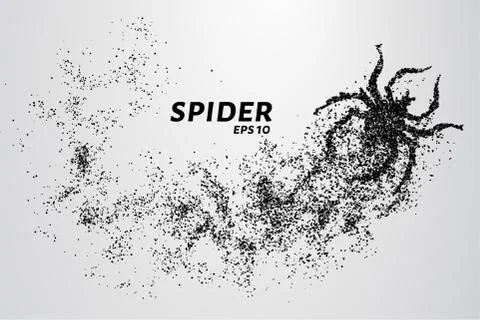 Spider of particles. The spider consists of small circles. Stock Illustration