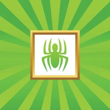 Spider picture icon 스톡 일러스트