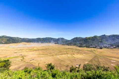 Spider rice fields wide angle. Stock Photos