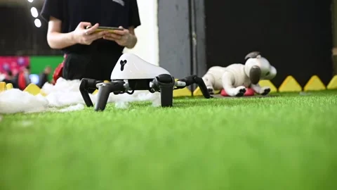 Spider robot demonstrates its skills at the robotics exhibition. 動画素材 229788520