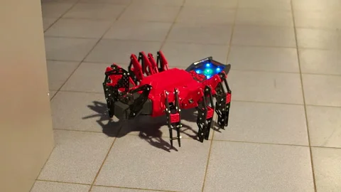 Spider robot. Robot toy with six legs walks on floor. Modern robotic toys Stock Footage 130381983