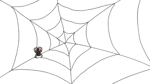 Spider running on net graphic motion video animation Stock Footage 82164376