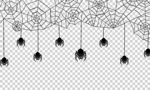 Spider scary web Stock Illustration