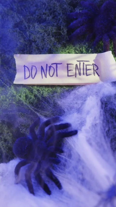 Spider shadow falling on Do Not Enter note in blue light Stock Footage 342423432
