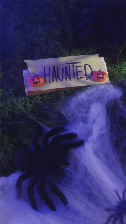Spider shadow over Haunted sign with pumpkins in blue light Stock-Footage 342423452