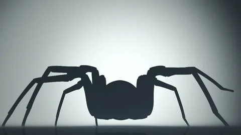Spider shadow scary realistic tarantula arachnid Stockbeeldmateriaal 25759987